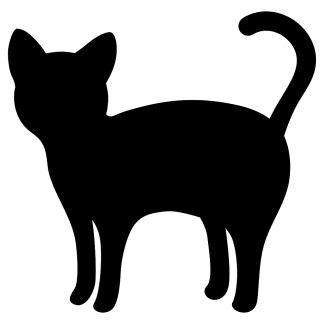 Blank Acrylic Keychain - Black Cat