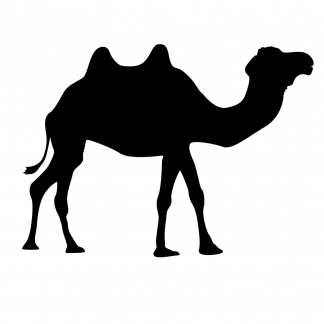 Blank Acrylic Keychain - Camel