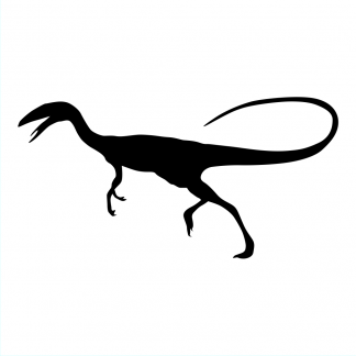 Blank Acrylic Keychain - Compsognathus